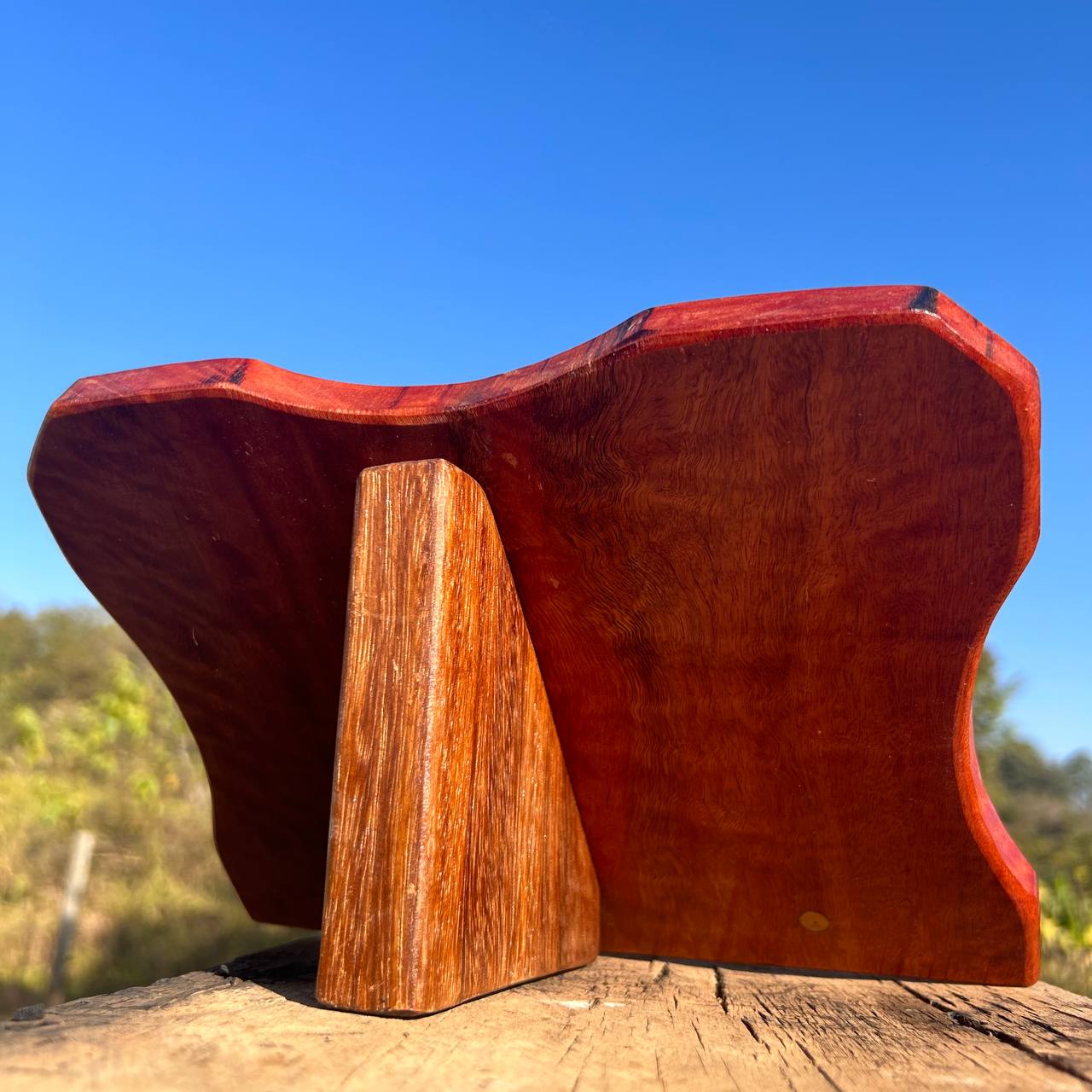 Suporte para Leitura - Image 5