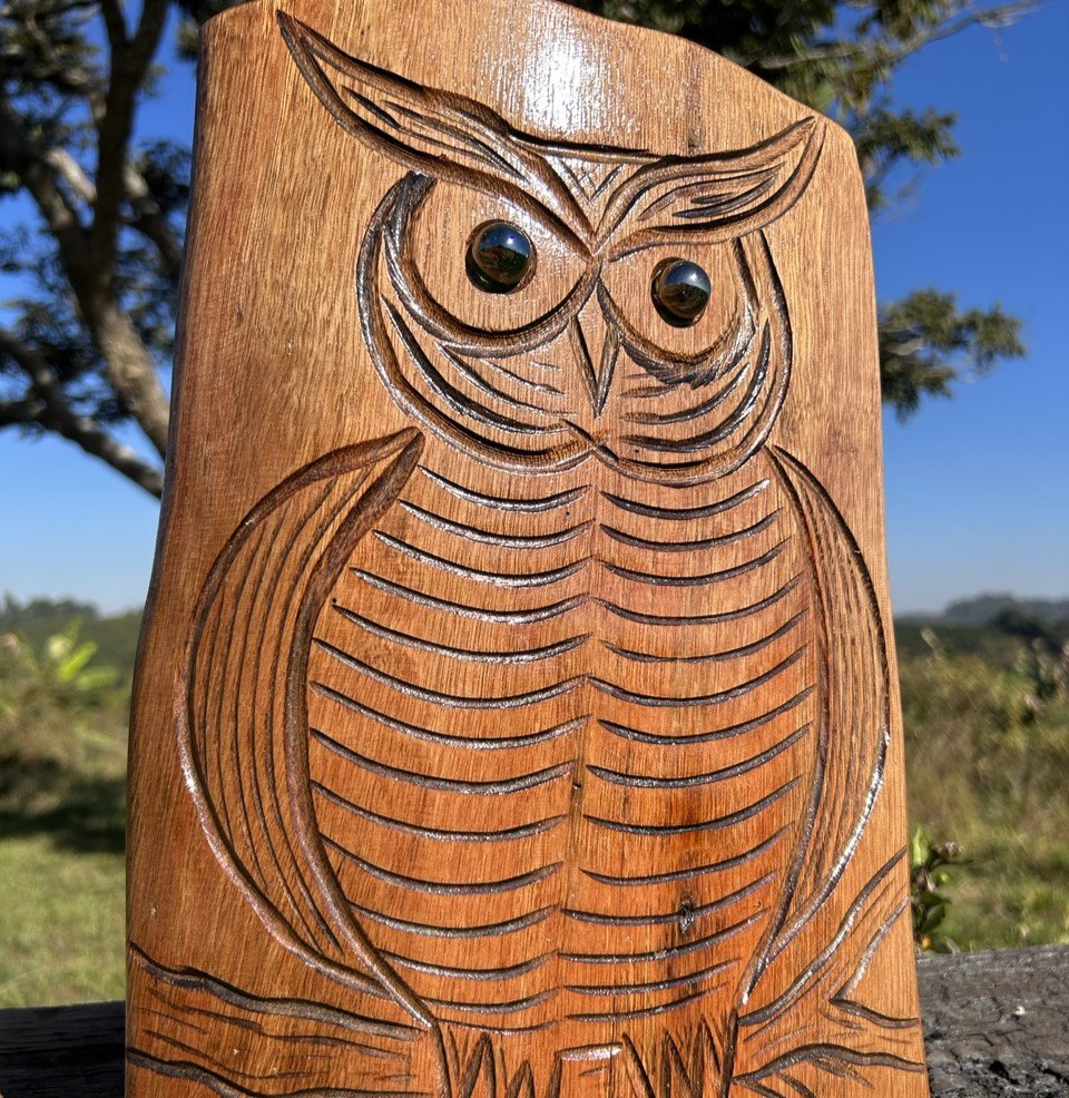 Quadro Coruja - Talhado / Personalizado - Image 2
