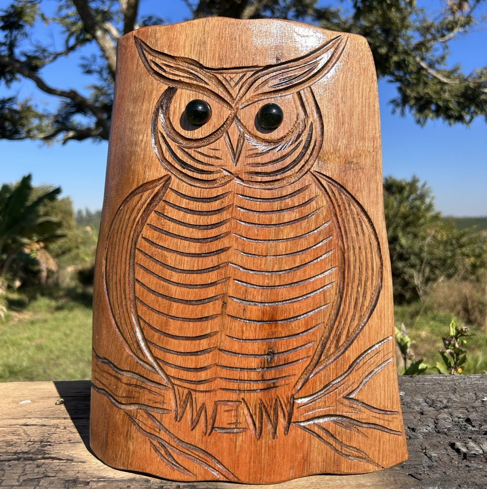 Quadro Coruja - Talhado / Personalizado