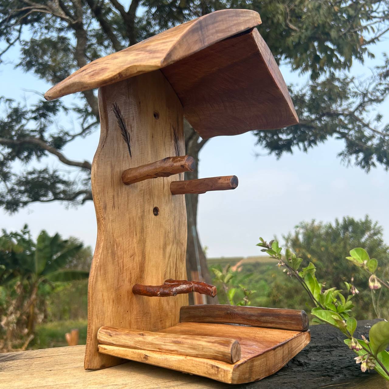 Comedouro para Pássaros - Com garrafa - Image 4